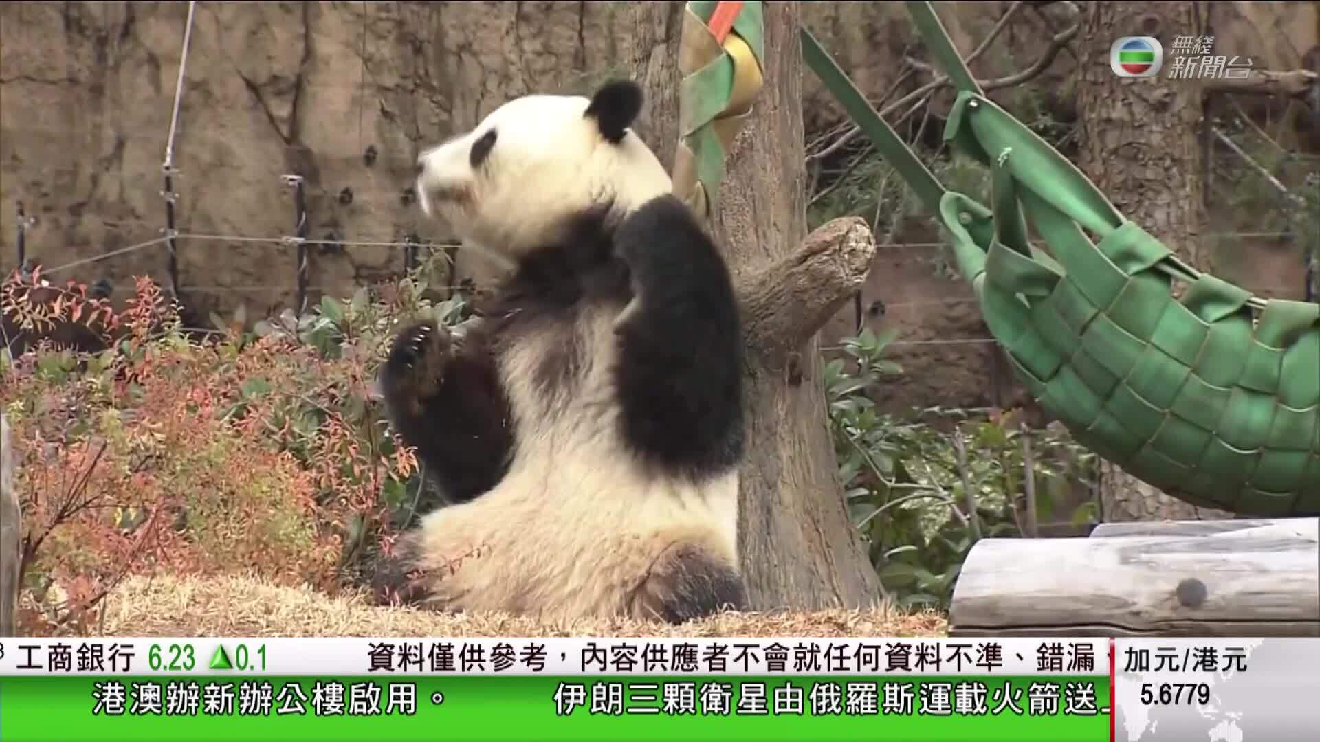 香港新聞報導-Hong Kong News