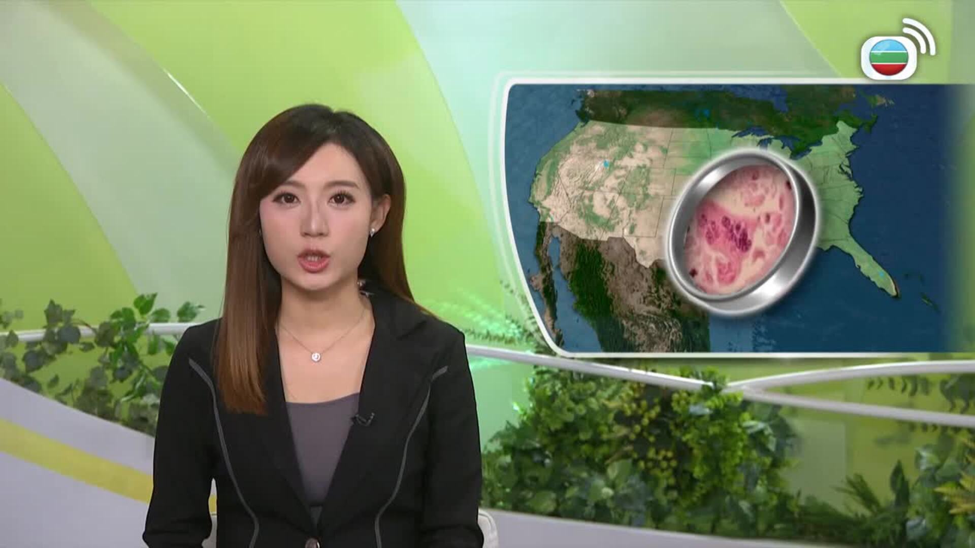 香港早晨-Good Morning Hong Kong