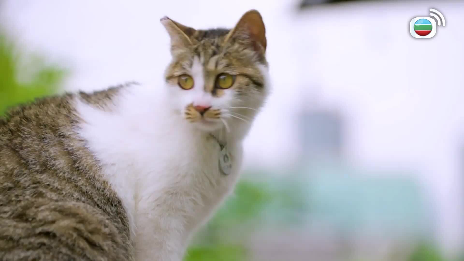 盲盒鐵路遊-Blind Travel By Rail