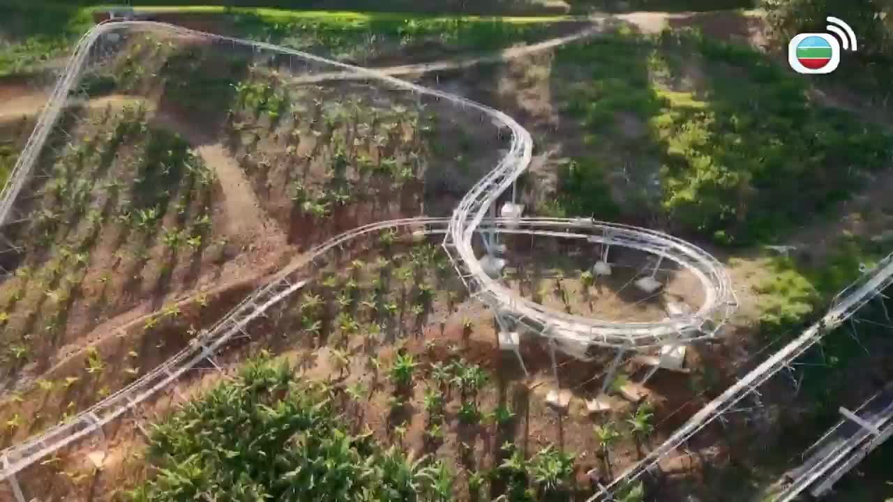 Tập 9