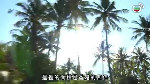 Tập 11