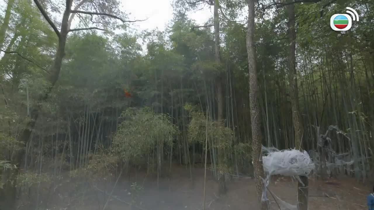 Episode 29