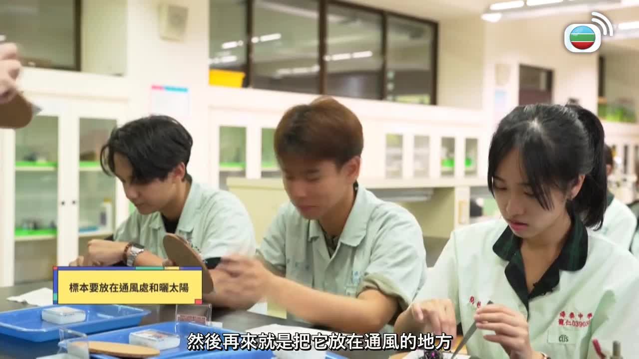 Tập 8