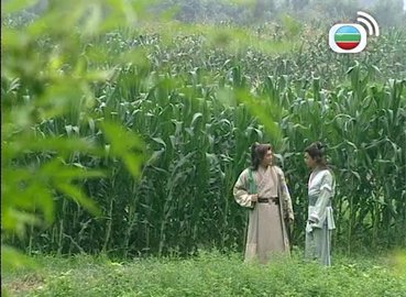 Episode 14