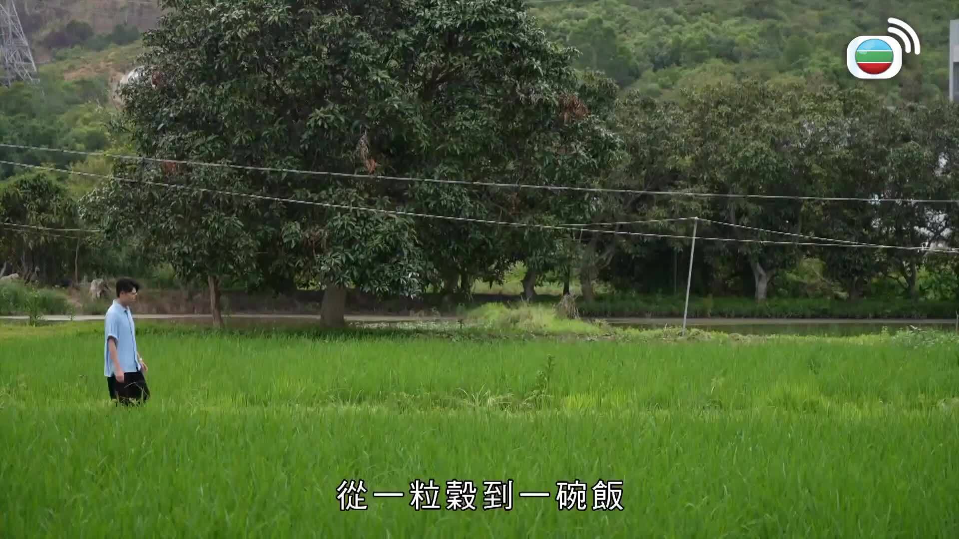 食好D-Eat Better Live Better