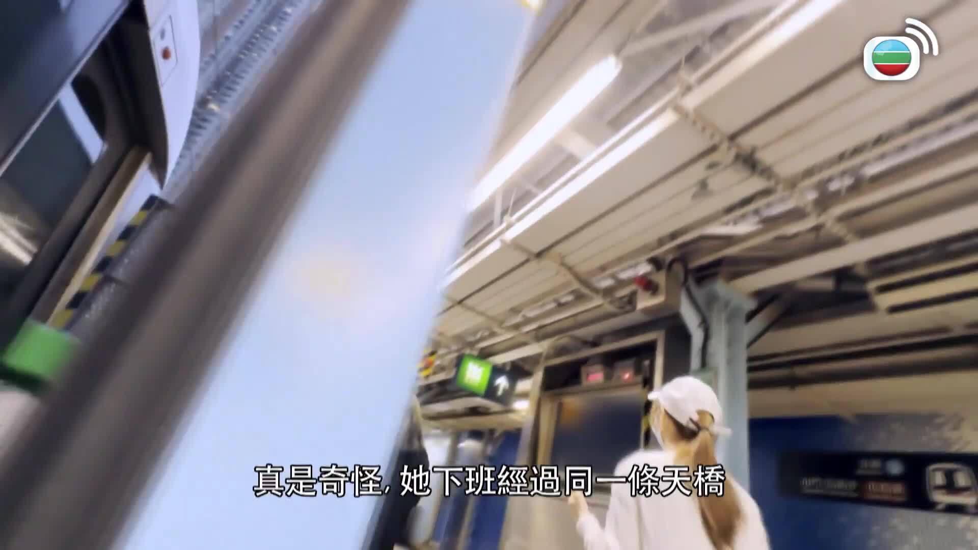 東張西望-Scoop