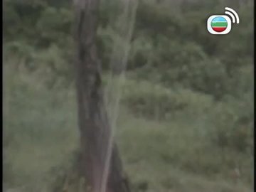 Tập 13