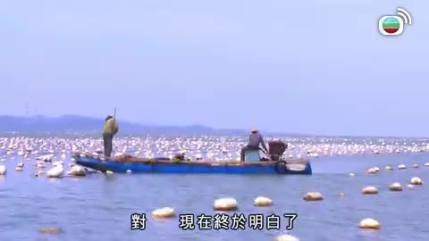 Tập 6
