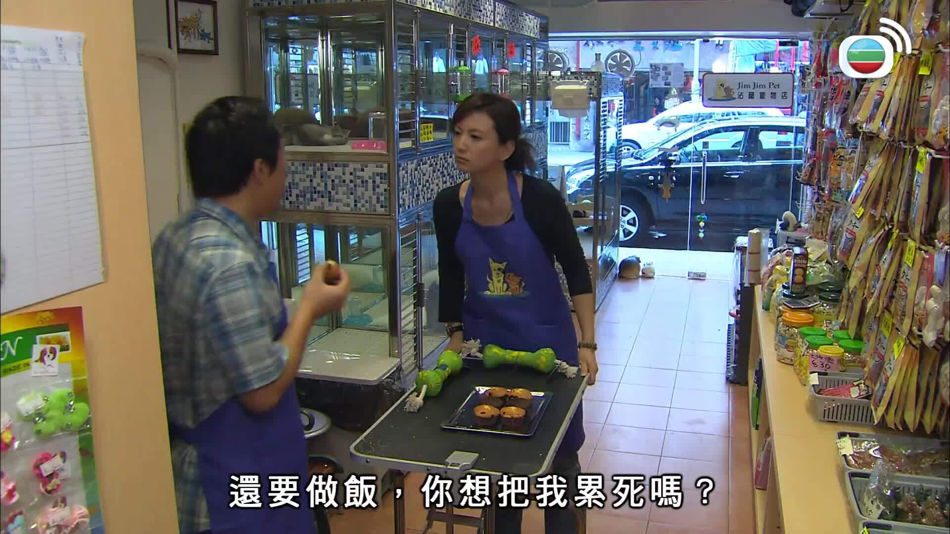 當狗愛上貓-When A Dog Loves A Cat