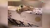 Tập 4