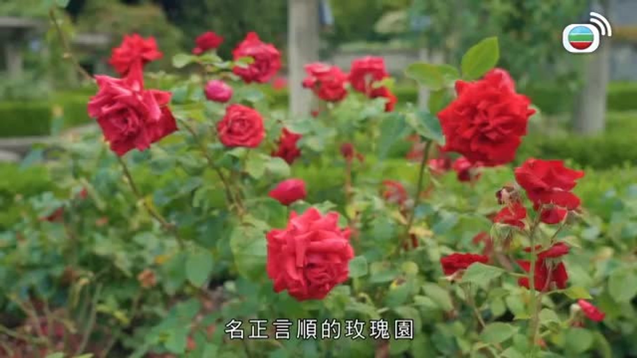 第13集