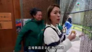 Tập 1