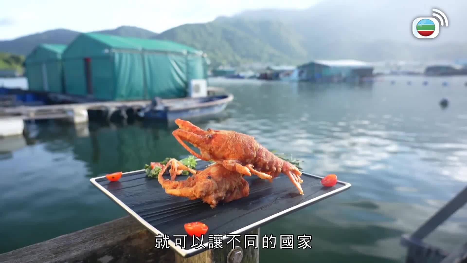 香港美食匠人-Hong Kong Food Artisans