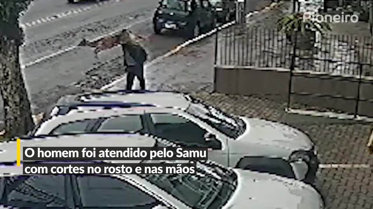 VÍDEO: câmera flagra momento em que cervo atinge homem no centro de Bento  Gonçalves | Pioneiro