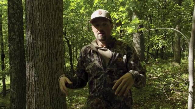 How To Pick Your Tree Saddle Location with Janis Putelis