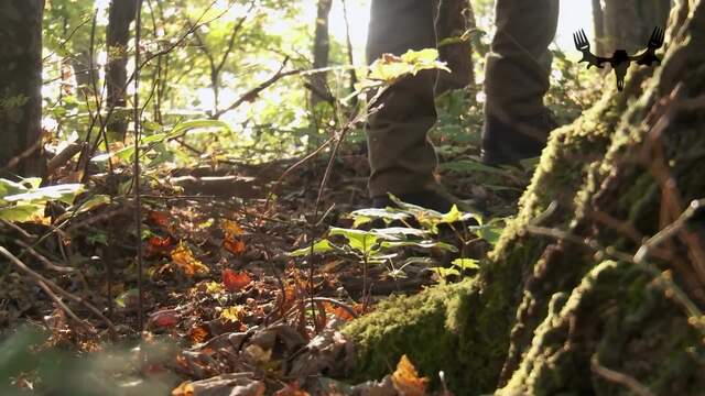 How To Reduce Movement and Noise While Still Hunting With Janis Putelis