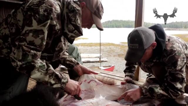 How to Skin a Black Bear with Steven Rinella and Paul Neess