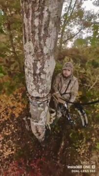 Owl lands in tree with bowhunter