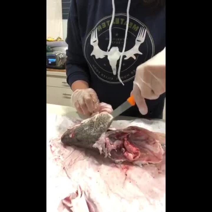 Nostril to Caudal: Cutting and Cooking Fish Tongues