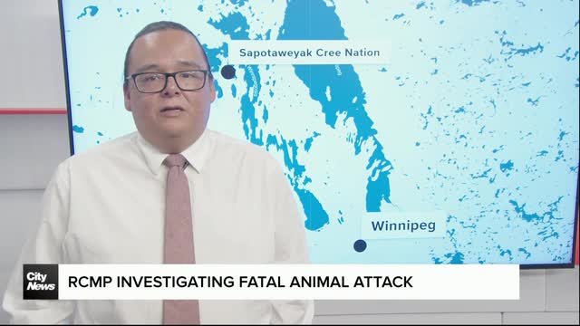 RCMP investigate fatal animal attack