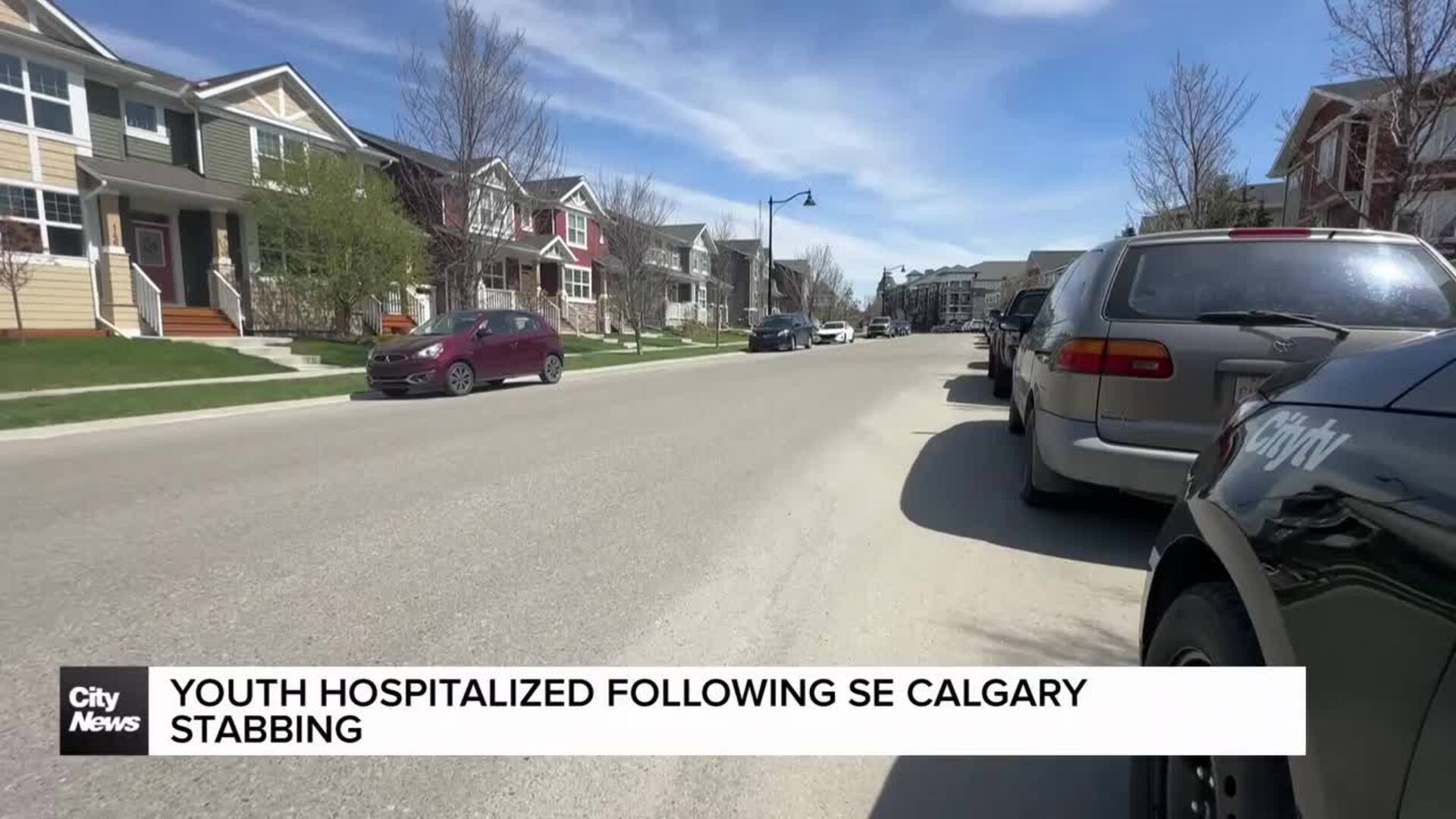 Youth hospitalized following SE Calgary stabbing