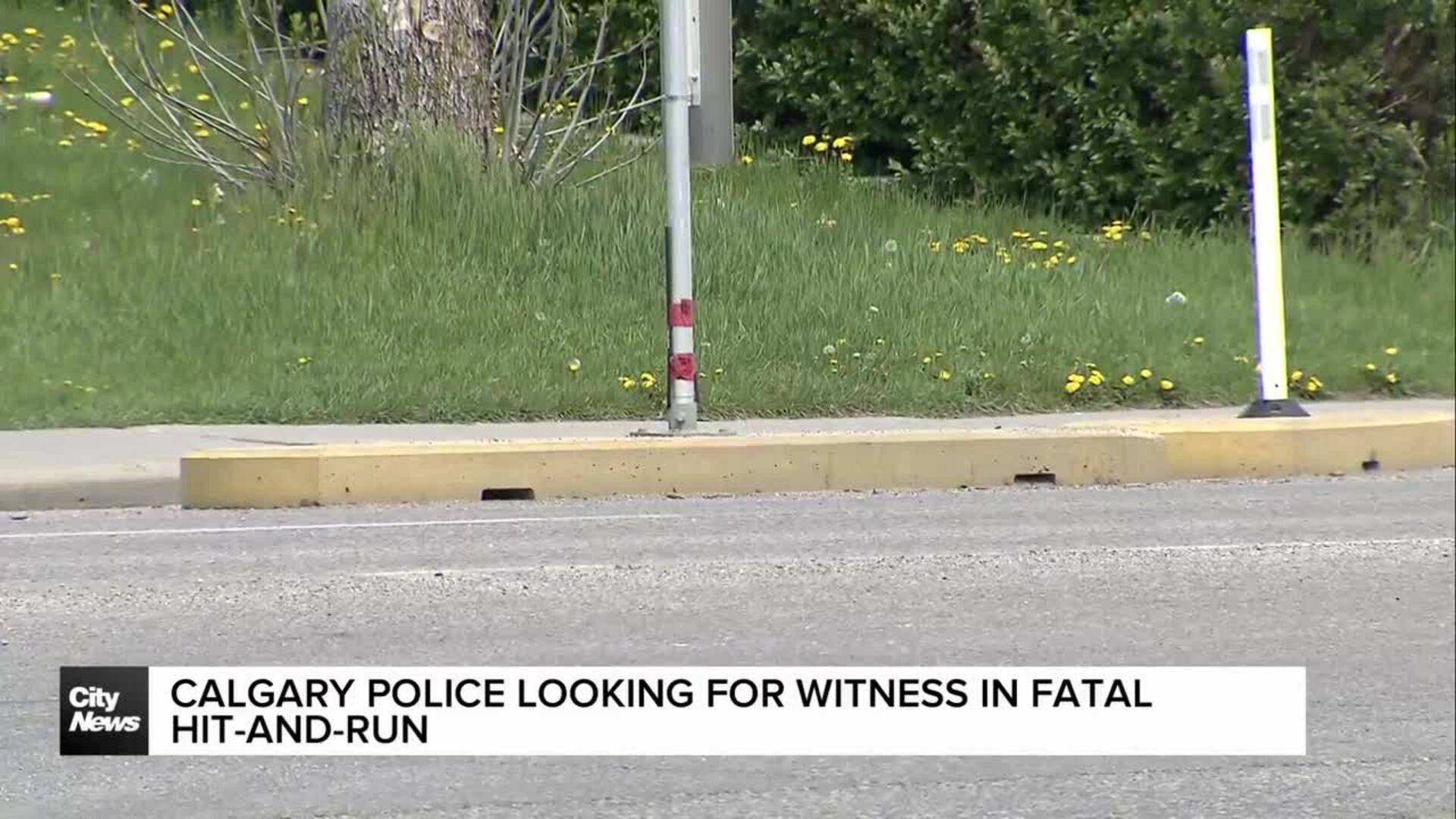 Calgary police looking for witness in fatal pedestrian hit-and-run