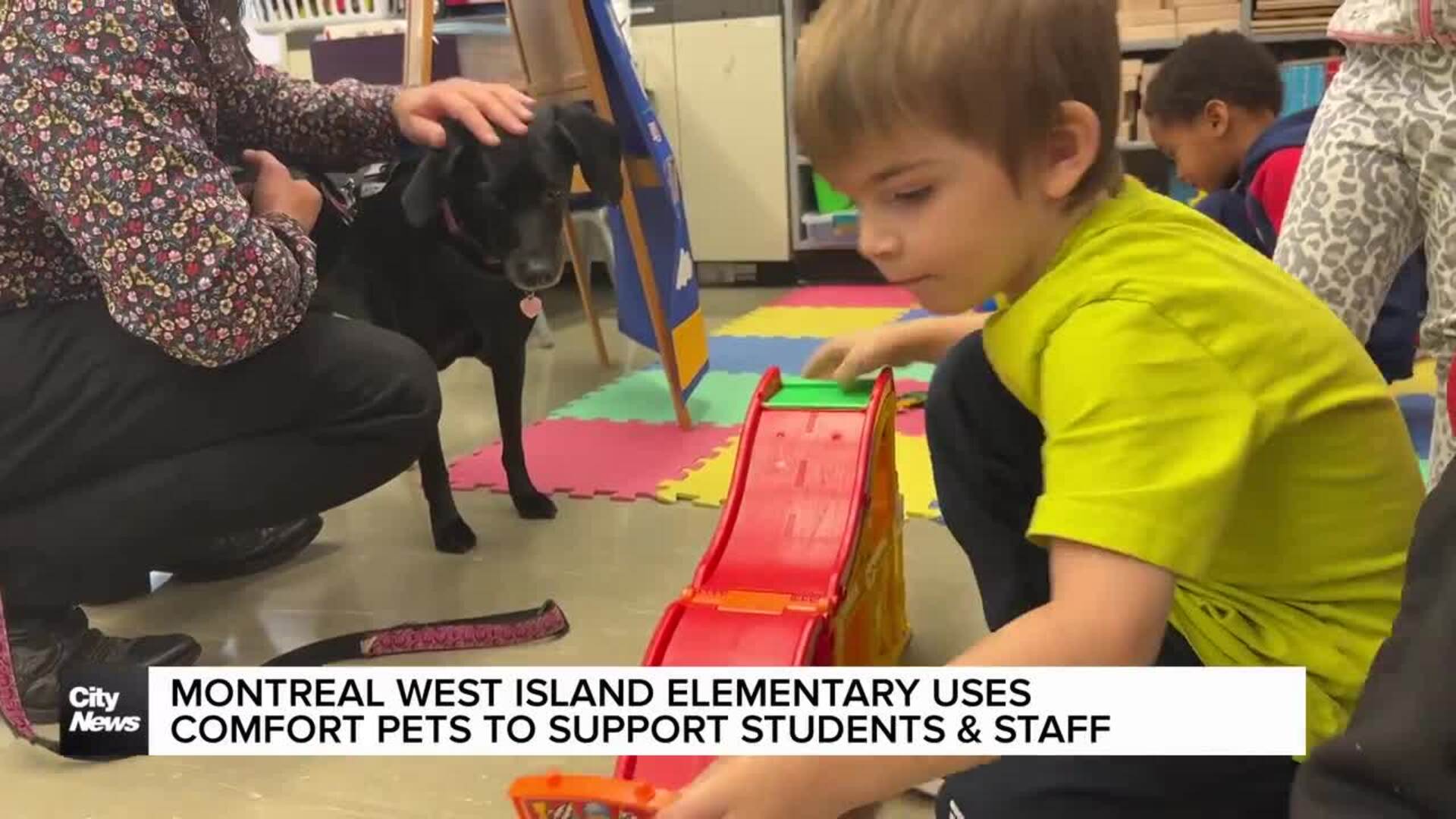 Montreal’s Springdale Elementary uses comfort dog for mental health