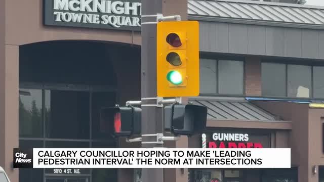 Calgary councillor hoping to make 'leading pedestrian interval' the norm at intersections
