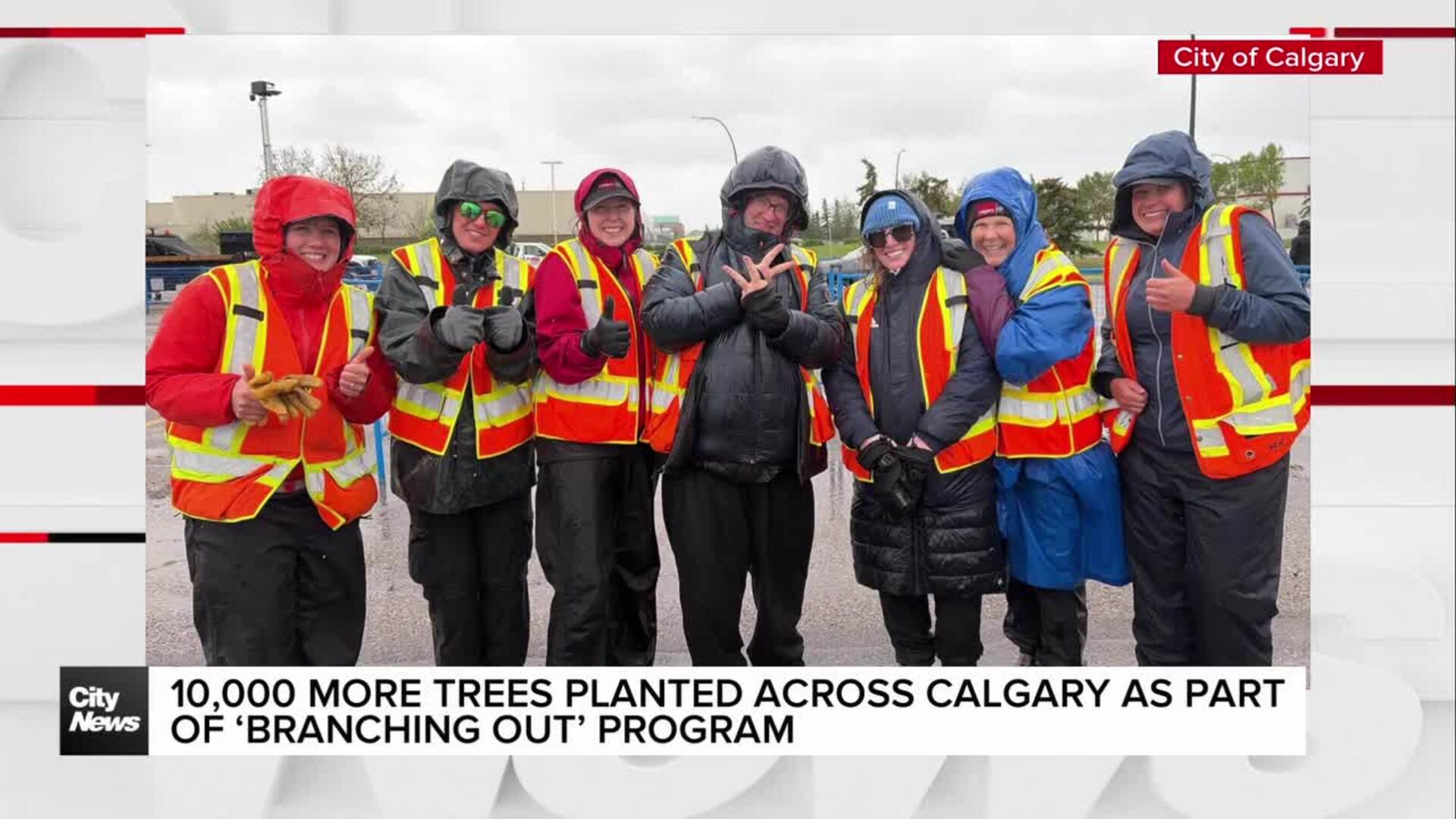10,000 more trees planted across Calgary as part of ‘Branching Out’ program