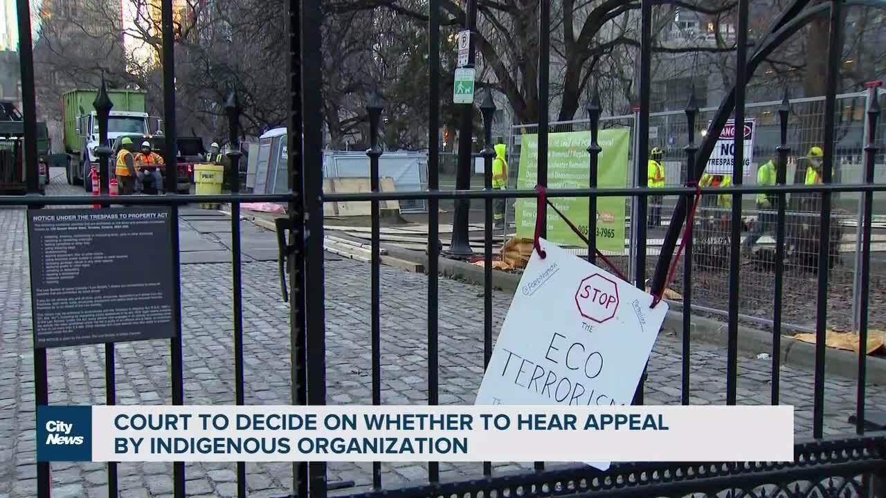 Fate of historic Osgoode Hall trees could soon be decided CityNews