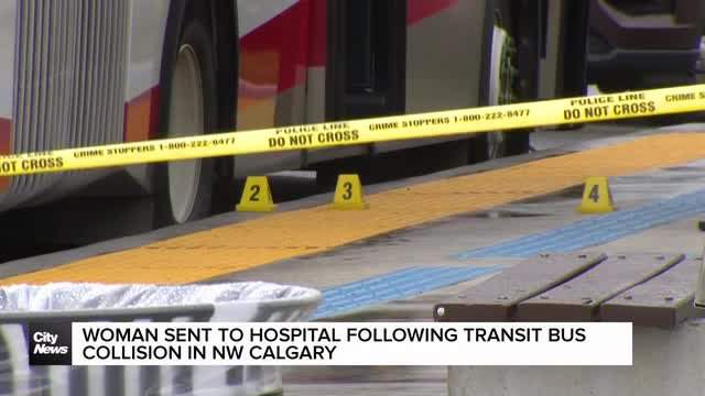 Woman sent to hospital following transit bus collision in NW Calgary