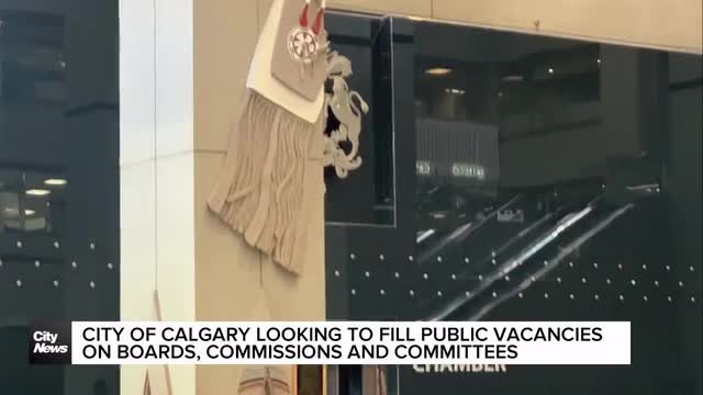 City of Calgary looking to fill public vacancies on boards, commissions and committees