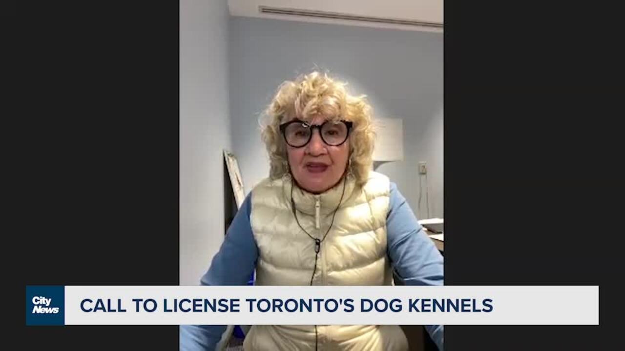 do you need a dog license in toronto