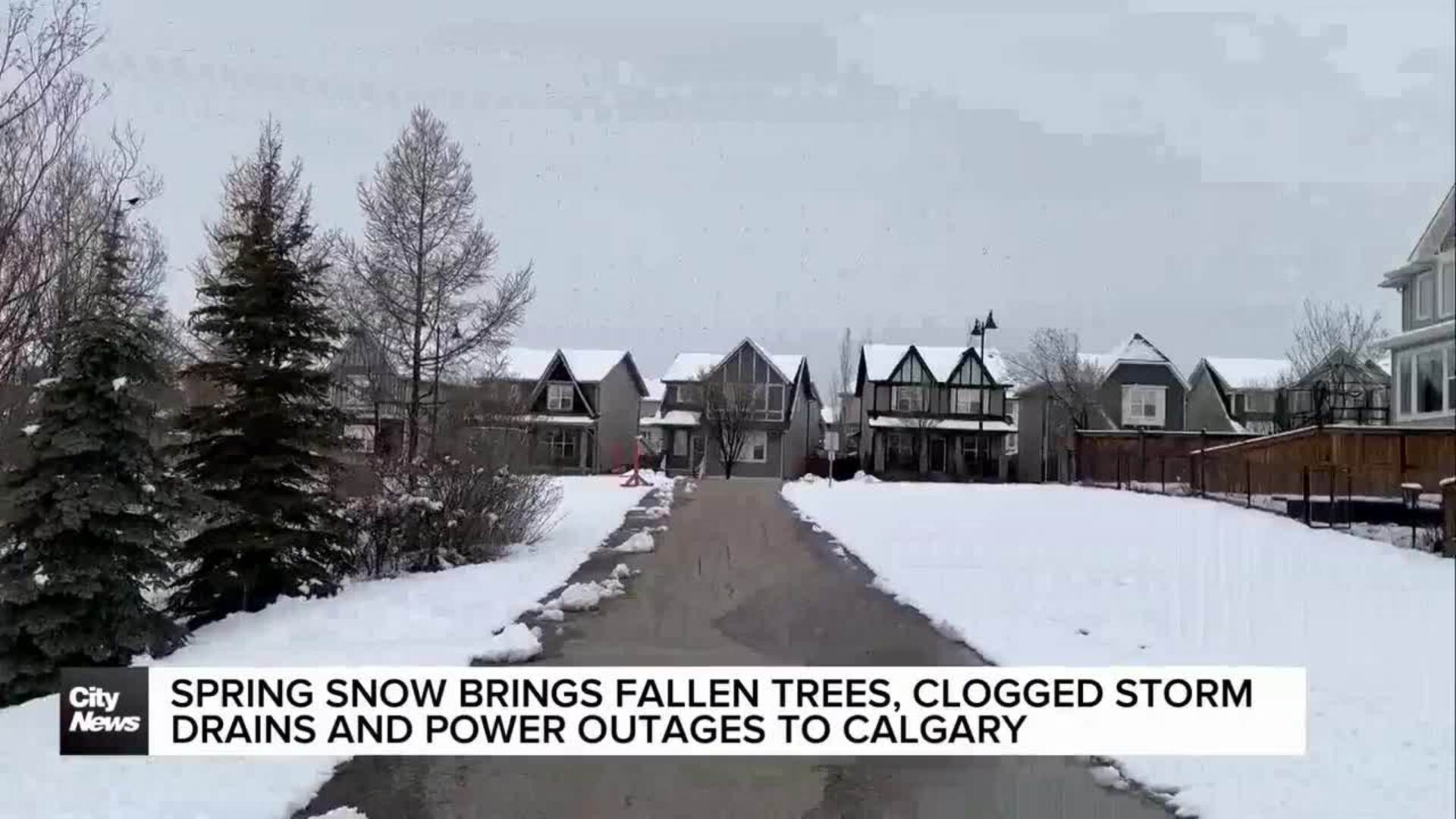 Spring snow brings fallen trees, clogged storm drains and power outages to Calgary