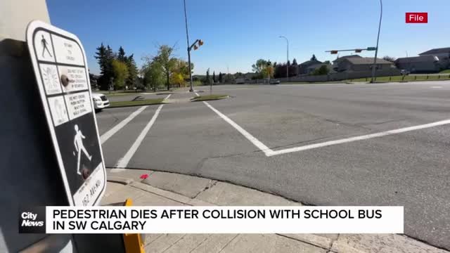 Pedestrian dies after collision with school bus in SW Calgary