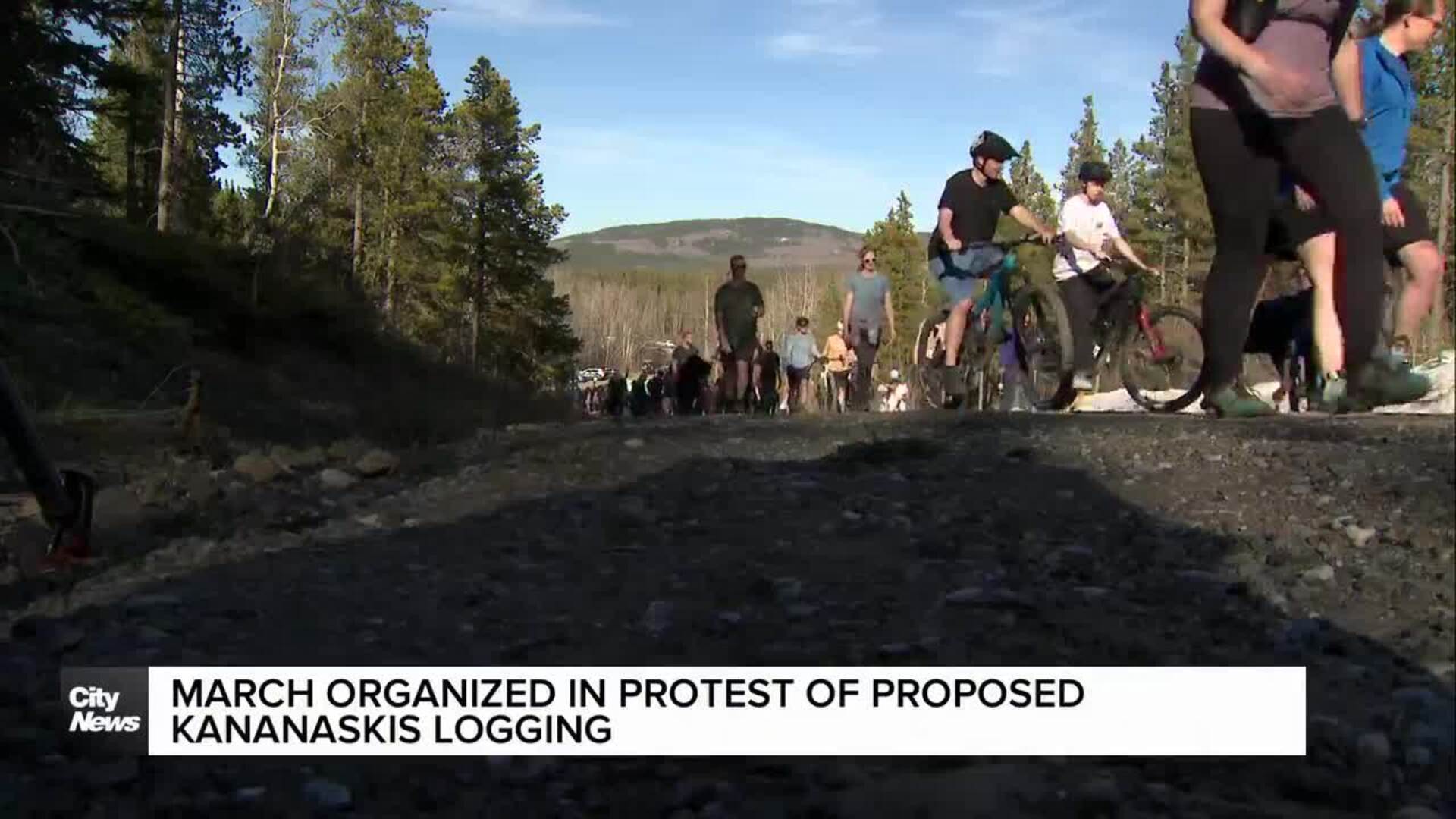 March organized in protest of proposed Kananaskis logging