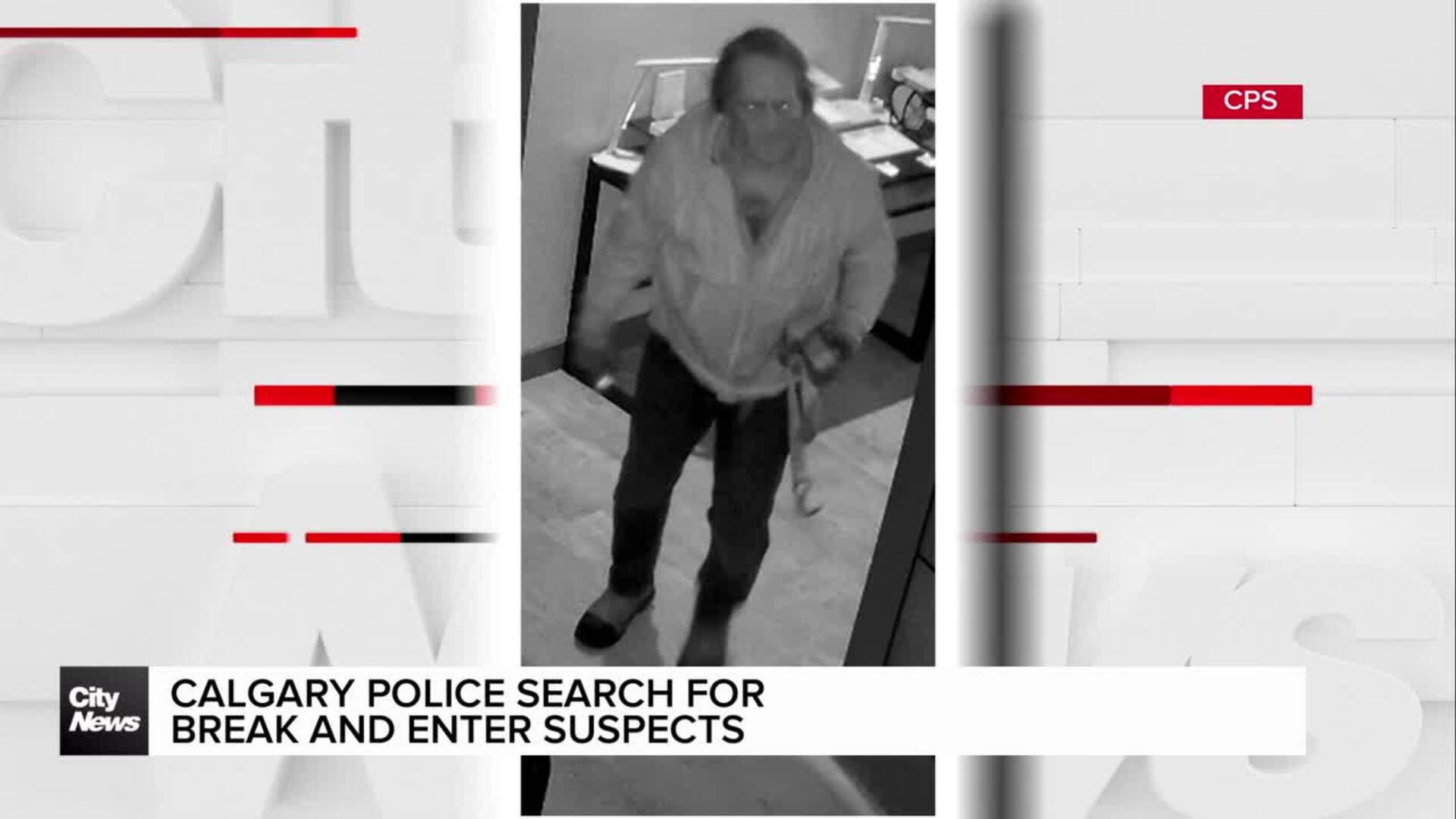 Calgary police search for break and enter suspects