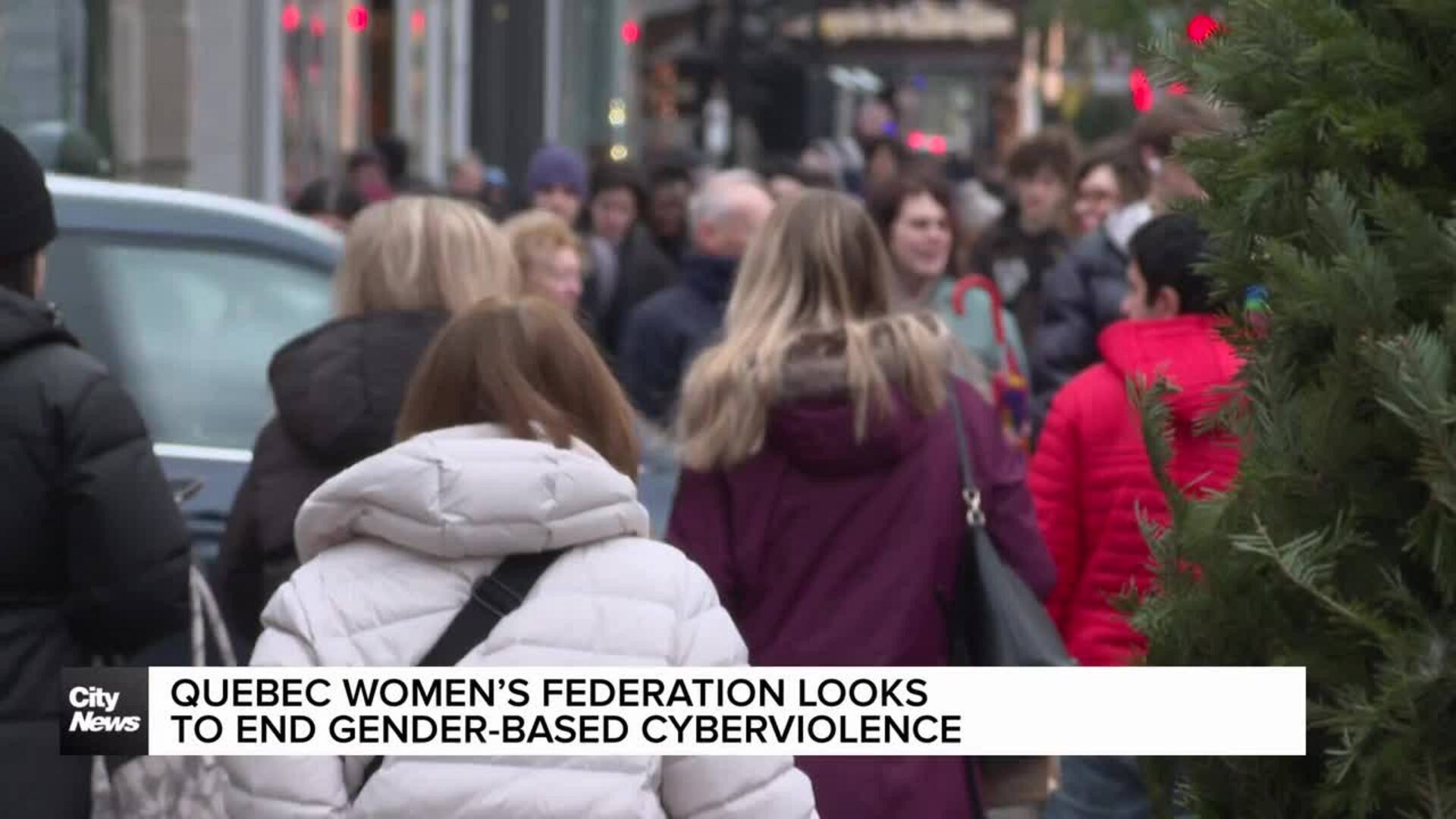 Quebec Women's Federation looks to end gender-based cyber violence