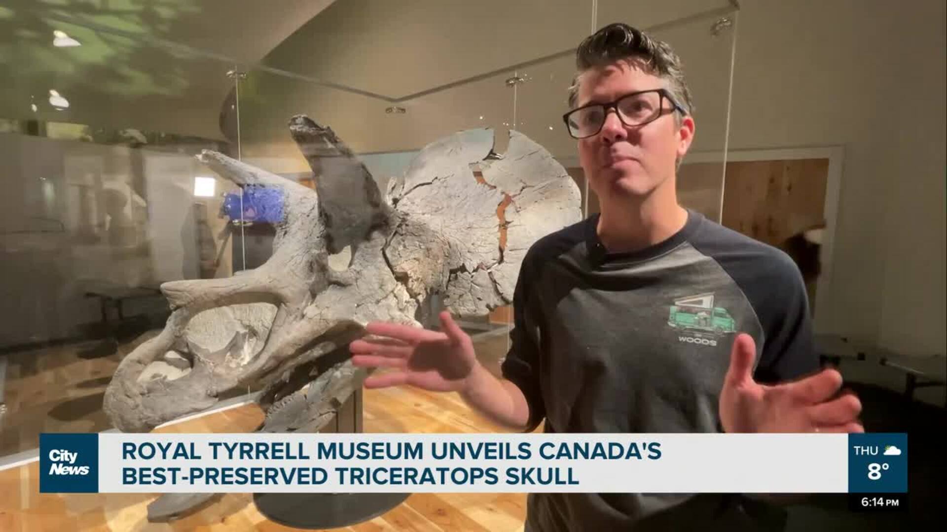 Canada's best-preserved Triceratops skull unveiled at Royal Tyrrell Museum  