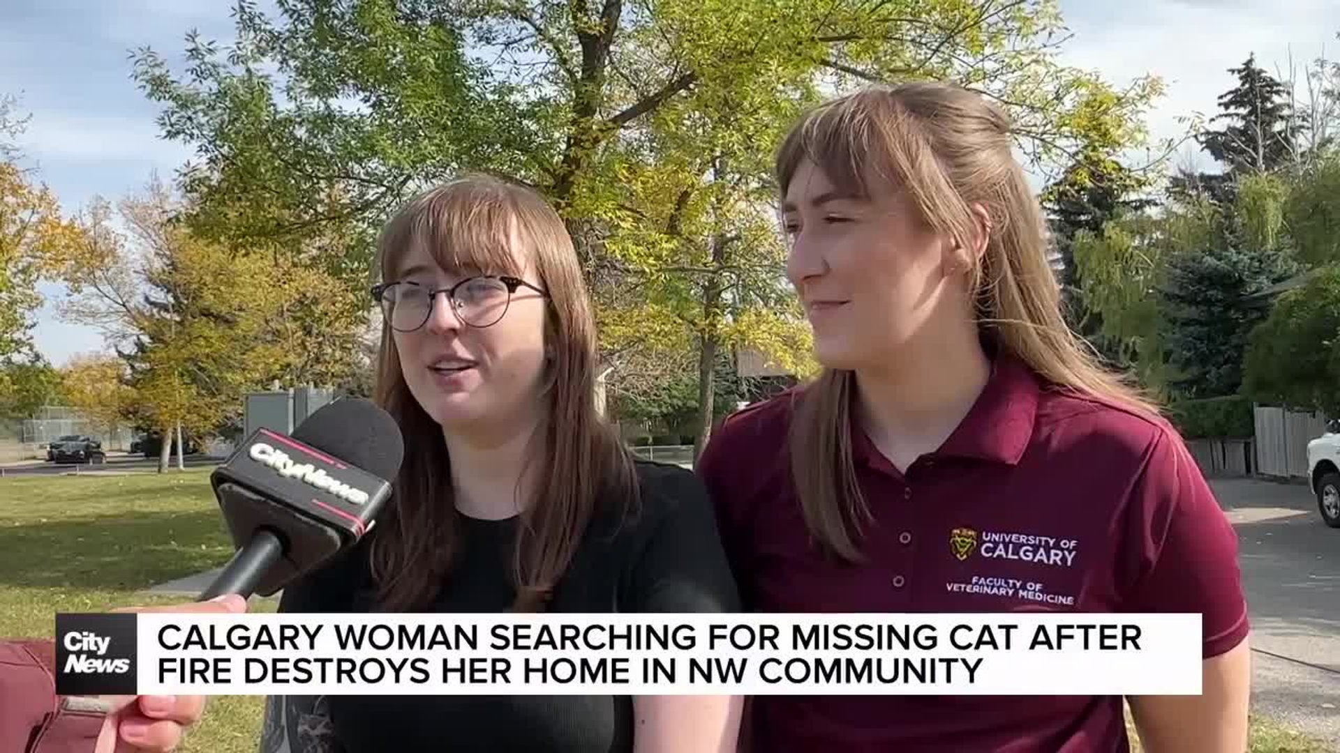 Calgary woman searching for missing cat after fire destroys her home