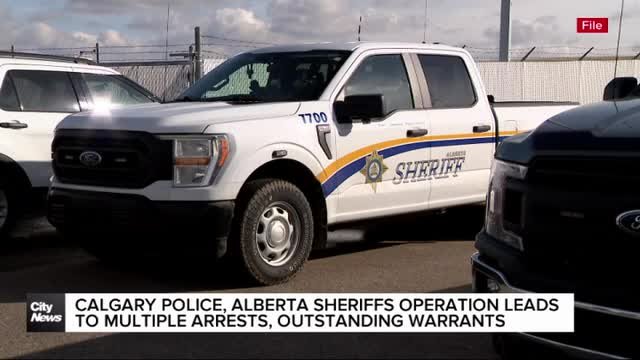 Calgary police, Alberta sheriffs operation leads to multiple arrests, outstanding warrants