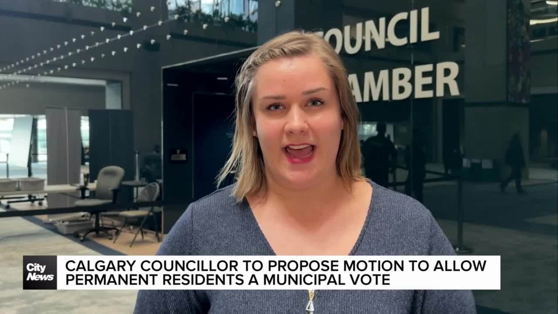 Should permanent residents be able to vote?