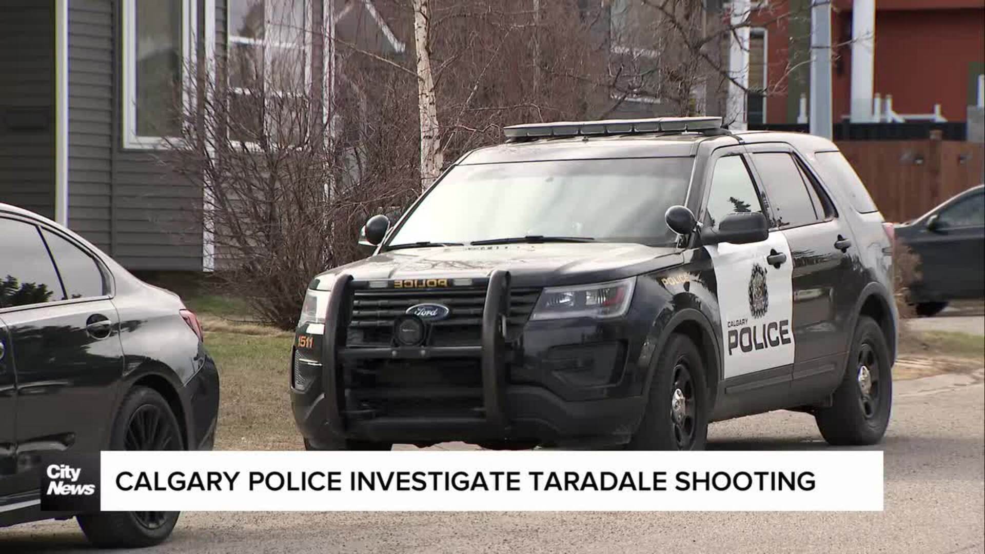 Calgary police investigate Taradale shooting