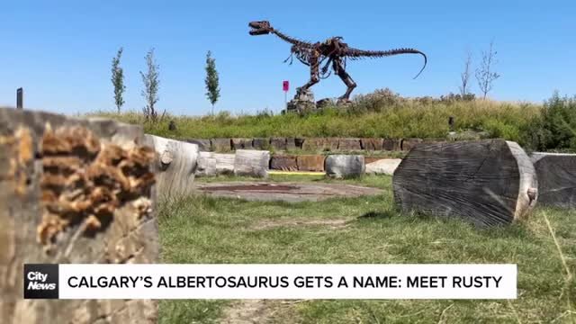 Calgary’s Albertosaurus gets a name: Meet Rusty