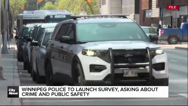 Winnipeg Police to launch survey, asking about crime and public safety