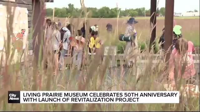 Living Prairies Museum celebrates 50th anniversary with launch of revitalization project