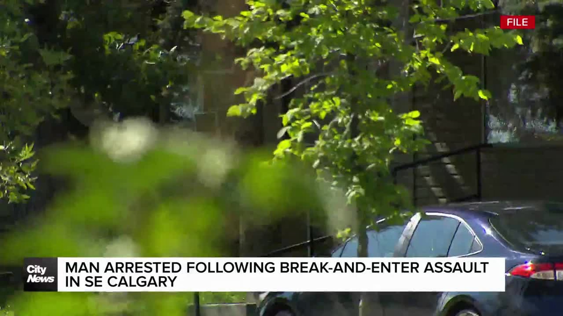 Man arrested following break-and-enter assault in SE Calgary