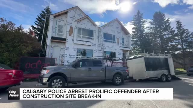 Calgary police arrest prolific offender after construction site break-in