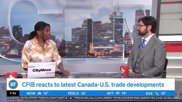 What Canadian businesses hope to see in tariff relief: CFIB