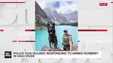 Police dog injured responding to armed robbery in High River